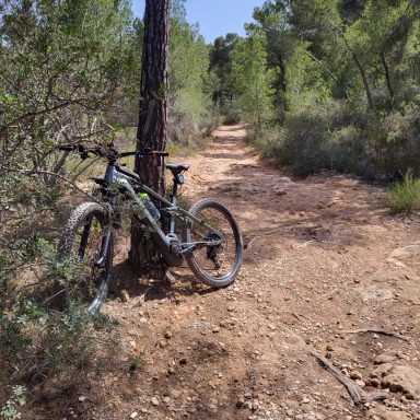 MTB Bike Station Trail Tour
