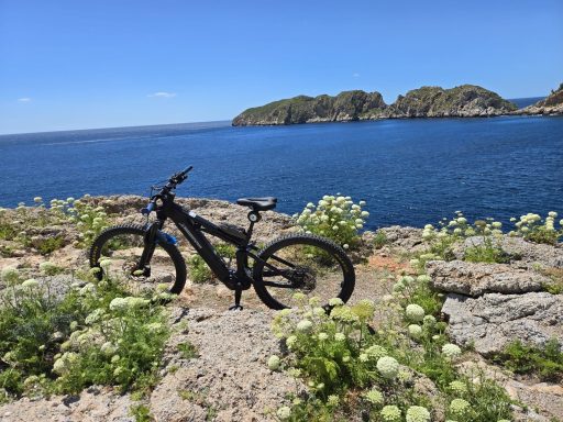 MTB Bike Station - Küstentour