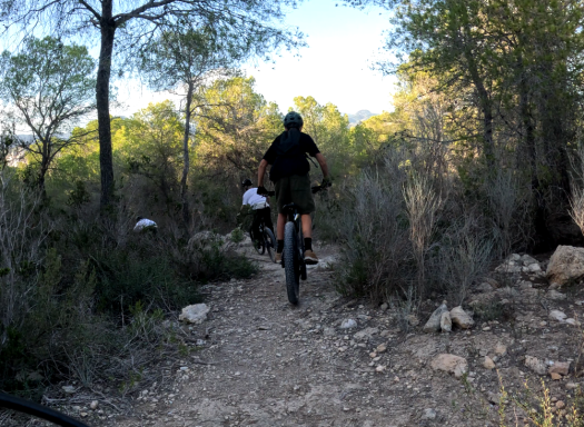 MTB Bike Station Küsten Trail Tour